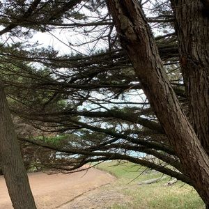 Meet your Posher, Ella